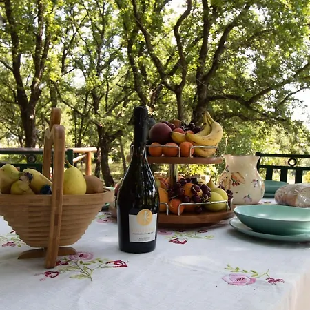 Holiday home Di Campo Stivaletto Nepi
